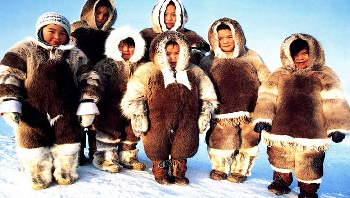 拡大家族とは 極北に住むエスキモー イヌイット の家族関係について 勉強ログ